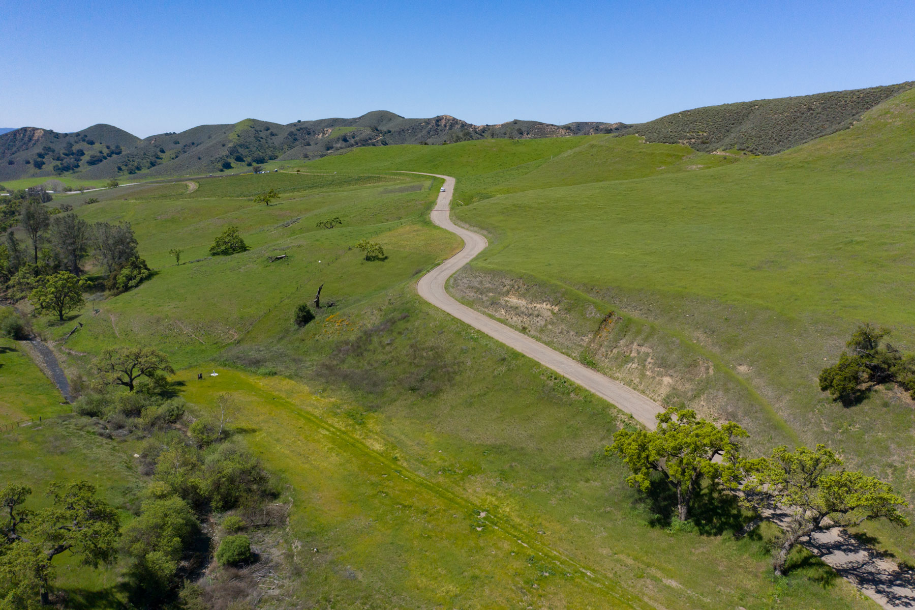 Rancho Latigo Auction property picture 35 of 46