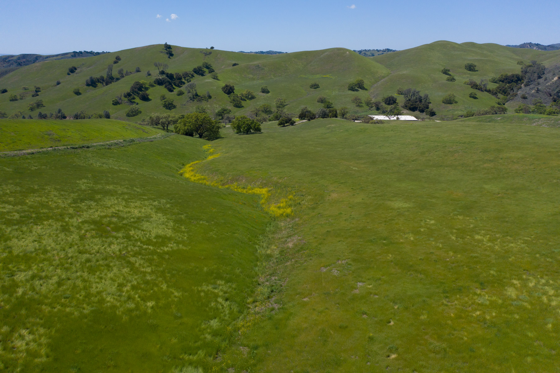 Rancho Latigo Auction property picture 45 of 46