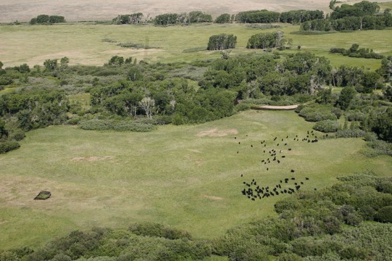 Snowy Range Ranch property picture 4 of 5