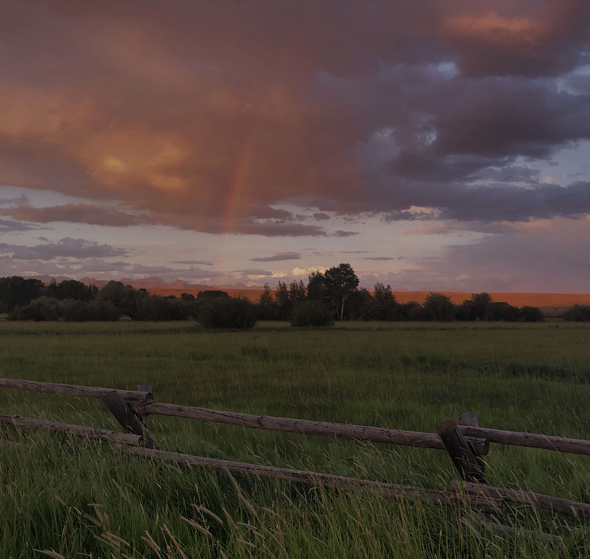 Bar Cross Ranch property picture 19 of 70