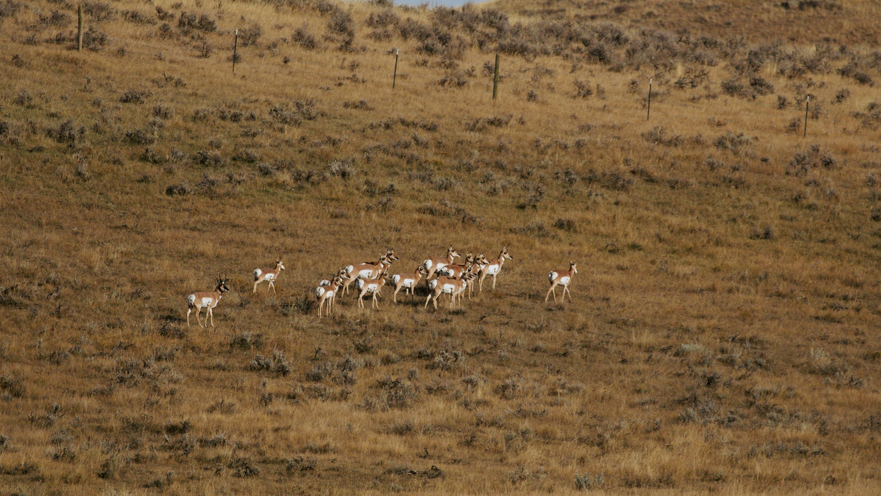 Cross F Ranch property picture 60 of 72