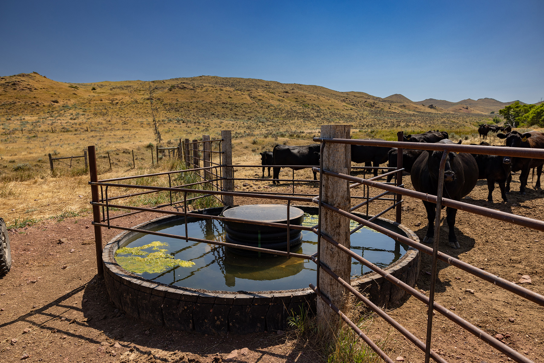 Cross F Ranch property picture 14 of 72