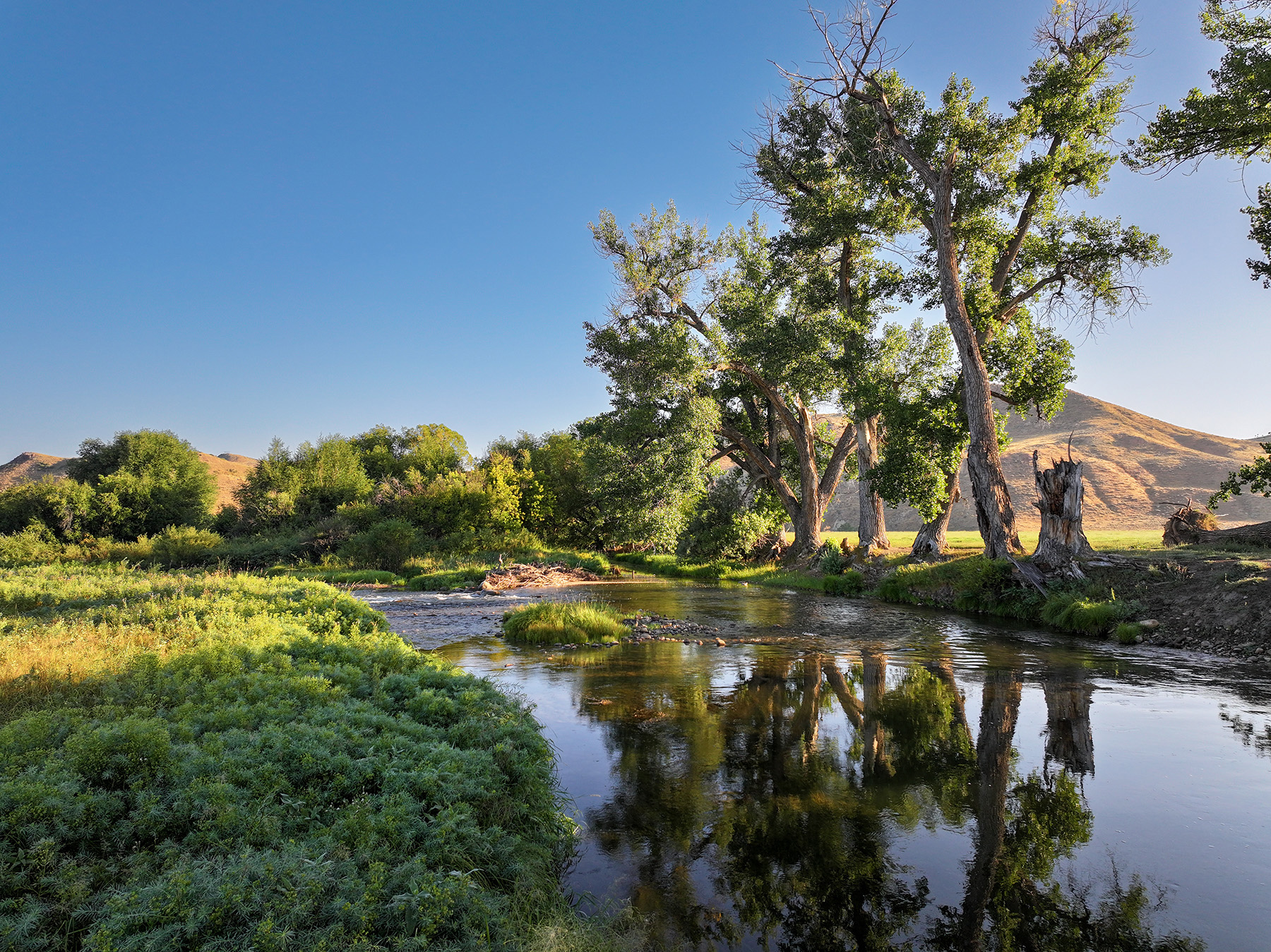 Cross F Ranch property picture 3 of 72