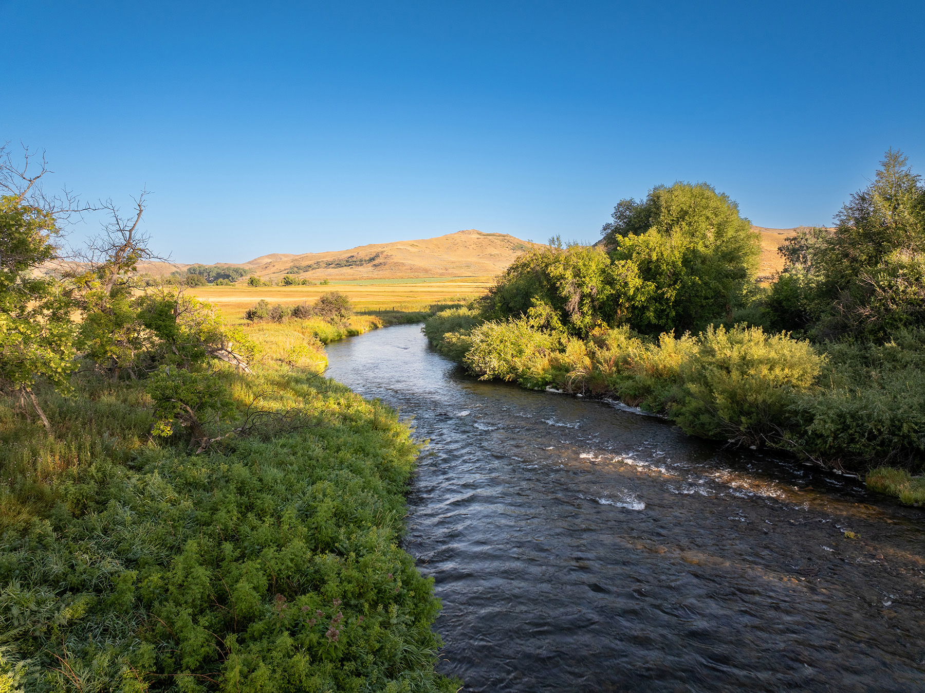 Cross F Ranch property picture 49 of 72