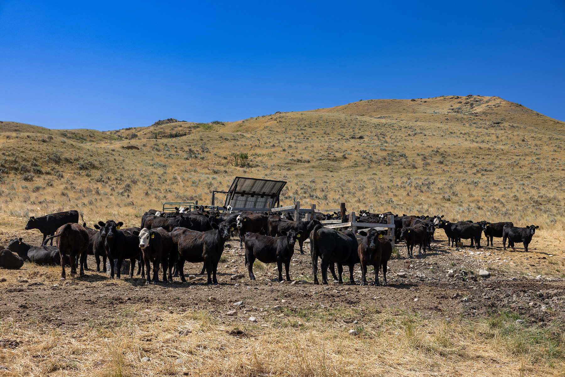 Cross F Ranch property picture 15 of 72