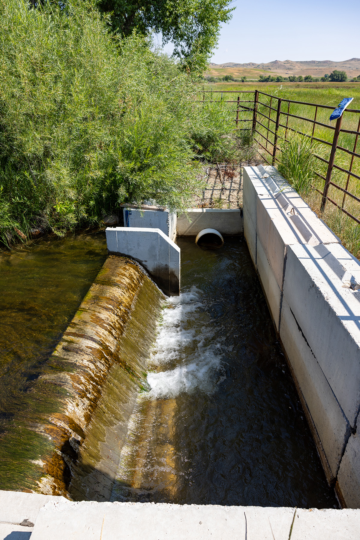 Cross F Ranch property picture 19 of 72