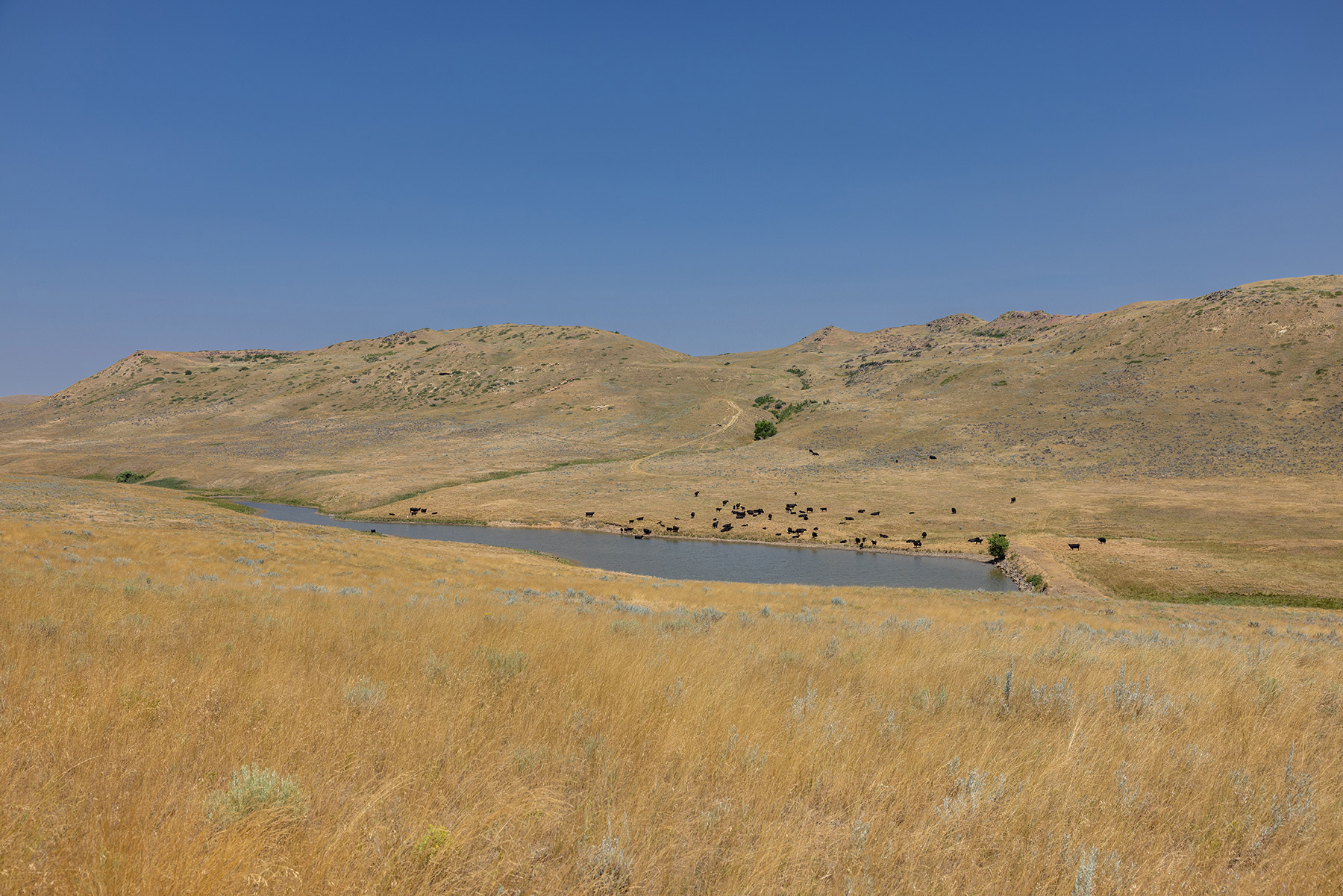 Cross F Ranch property picture 55 of 72