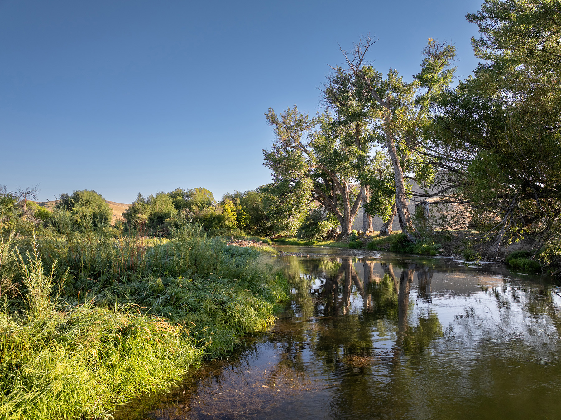 Cross F Ranch property picture 43 of 72