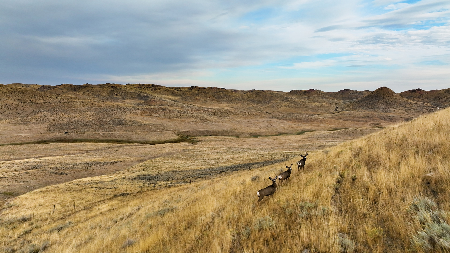 Cross F Ranch property picture 72 of 72