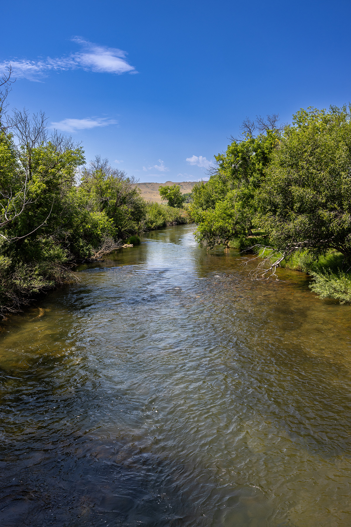 Cross F Ranch property picture 10 of 72