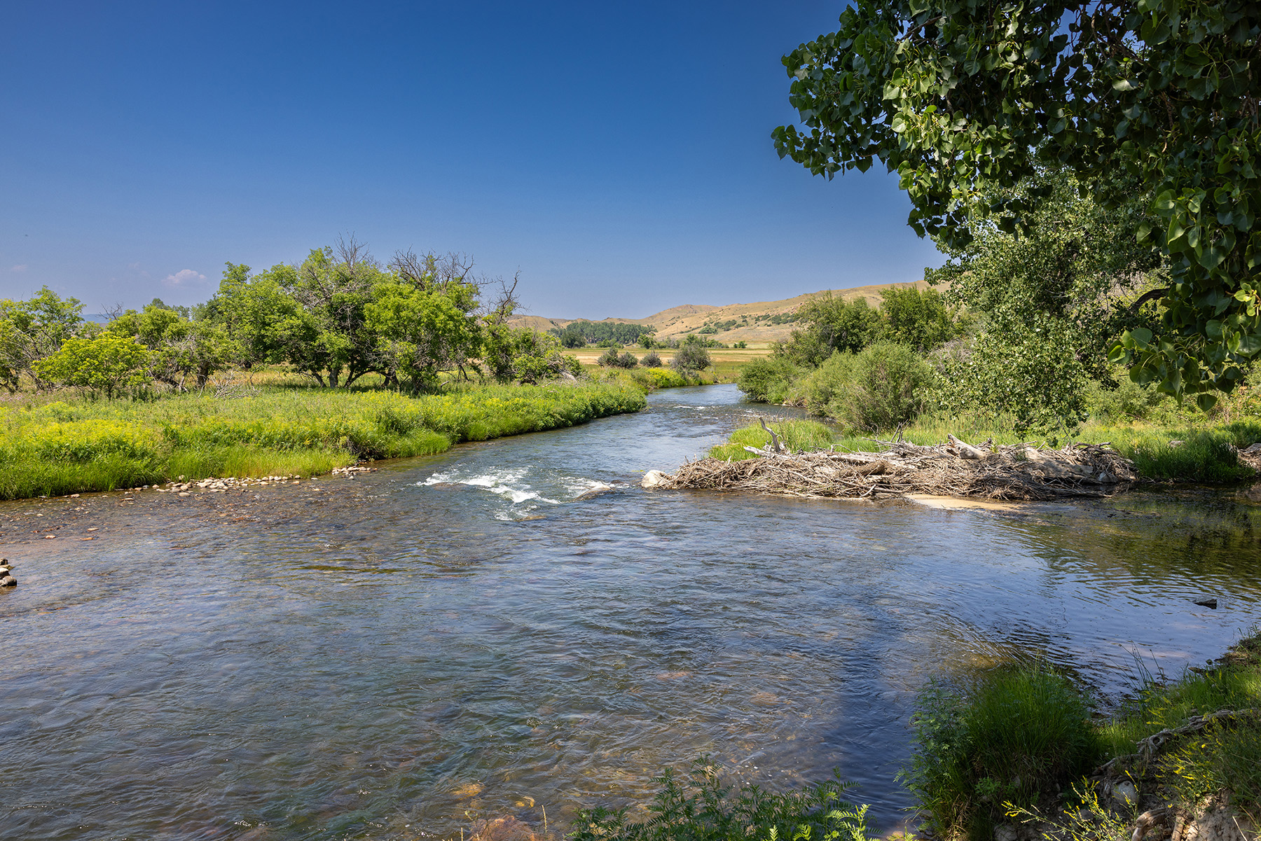 Cross F Ranch property picture 18 of 72
