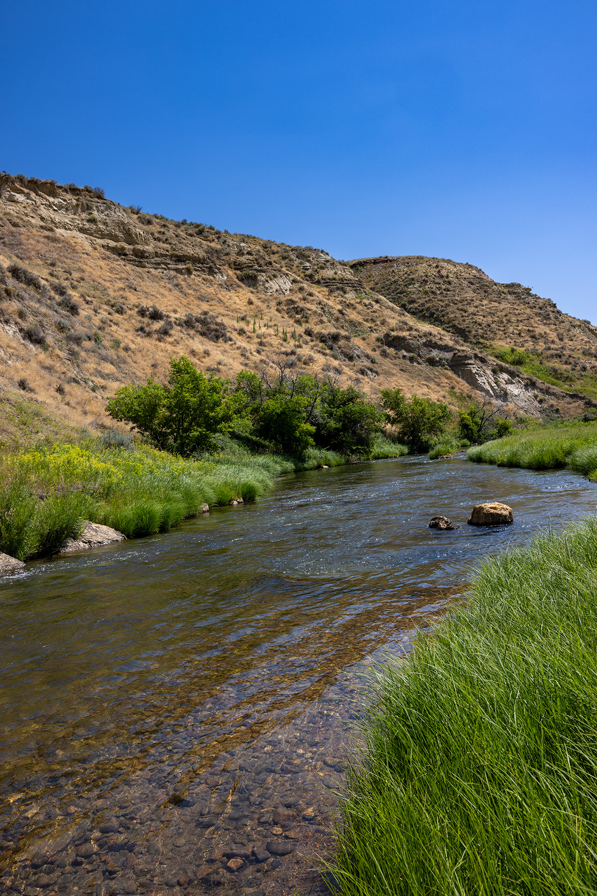 Cross F Ranch property picture 26 of 72