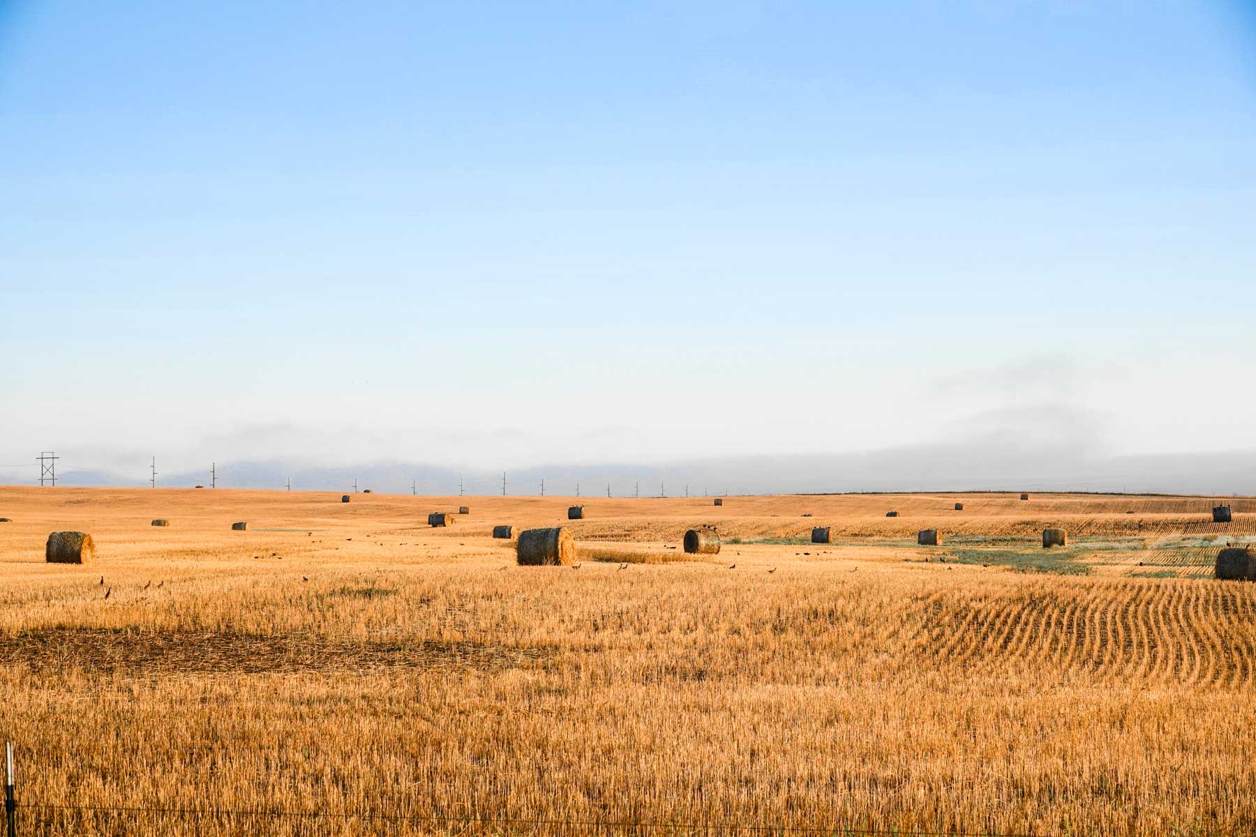 Sand Creek Bird Sanctuary property picture 35 of 59