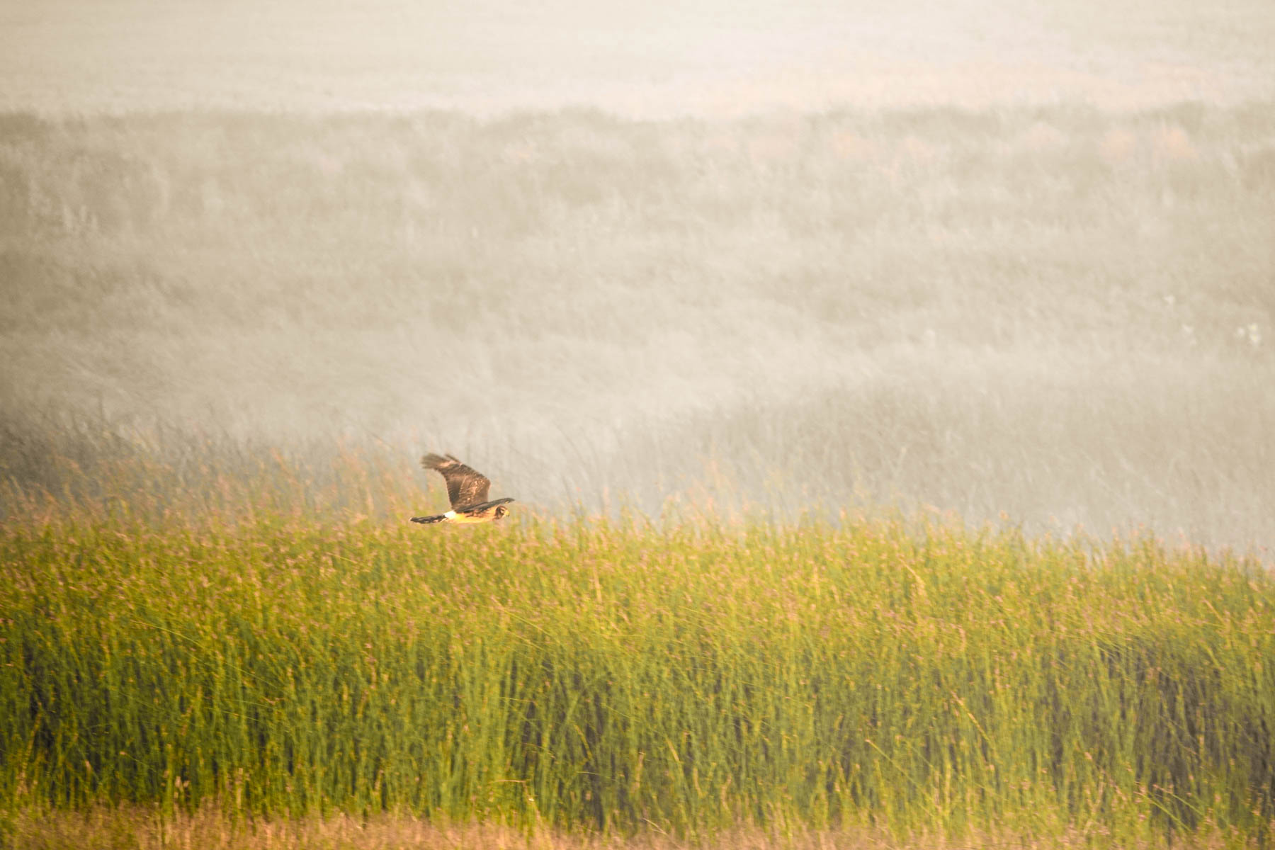 Sand Creek Bird Sanctuary property picture 14 of 59