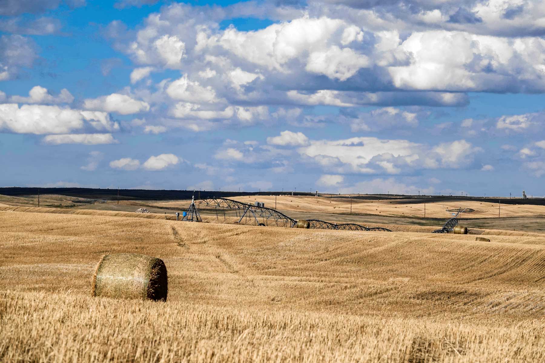 Sand Creek Bird Sanctuary property picture 8 of 59