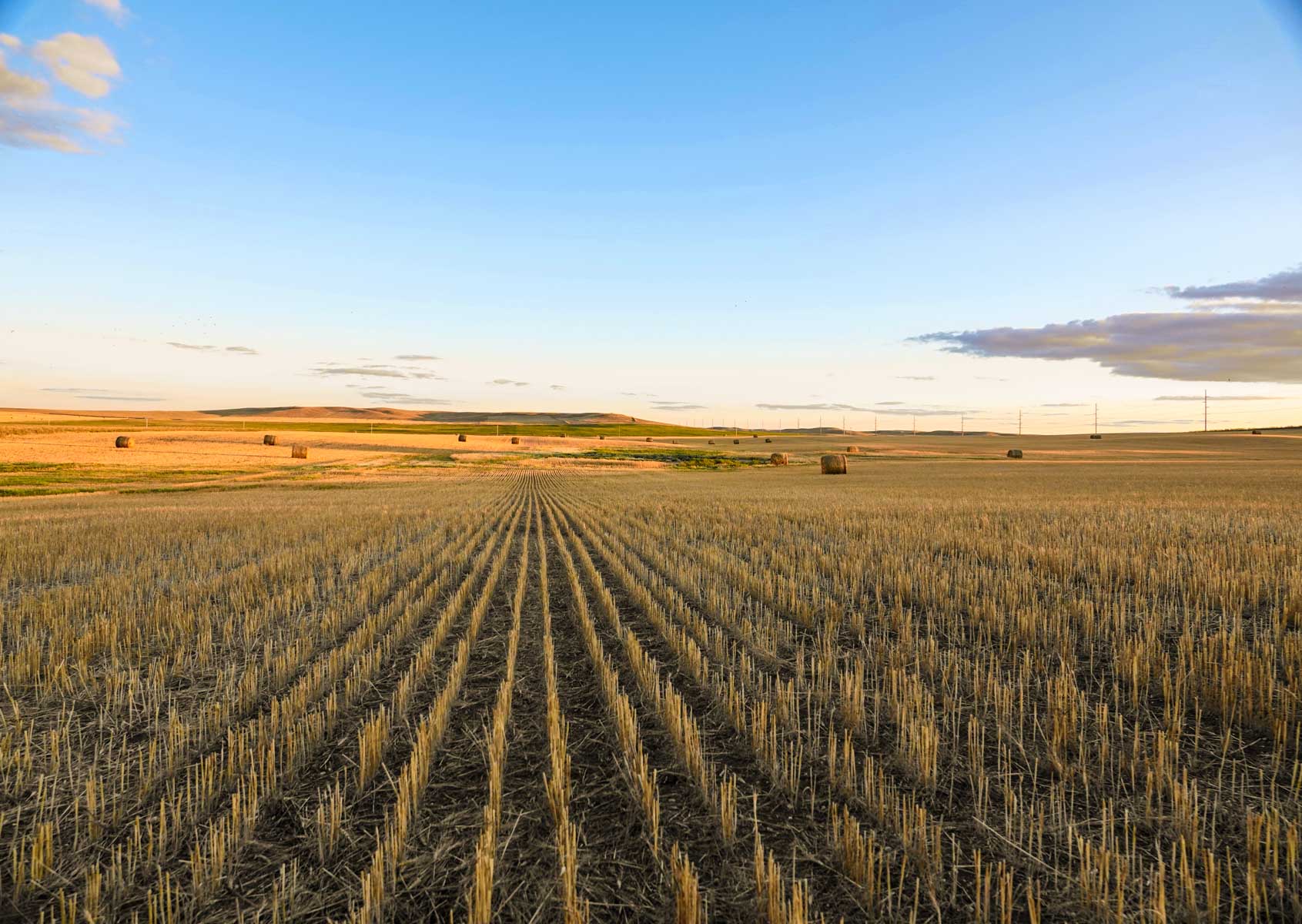 Sand Creek Bird Sanctuary property picture 11 of 59