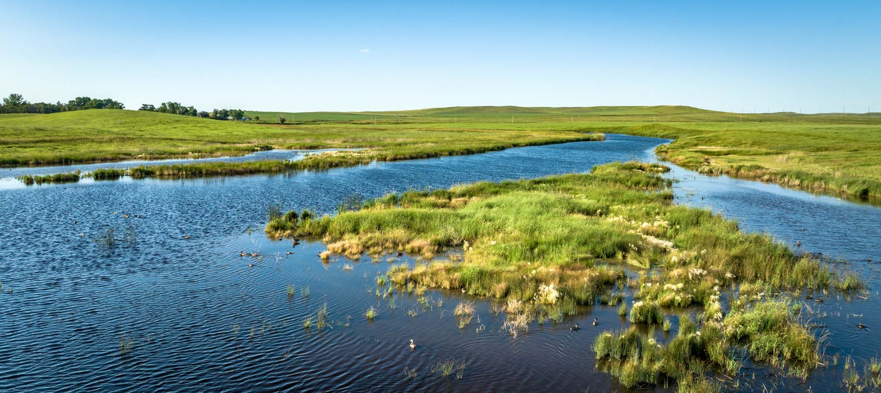 Sand Creek Bird Sanctuary Sold Montana Hall and Hall