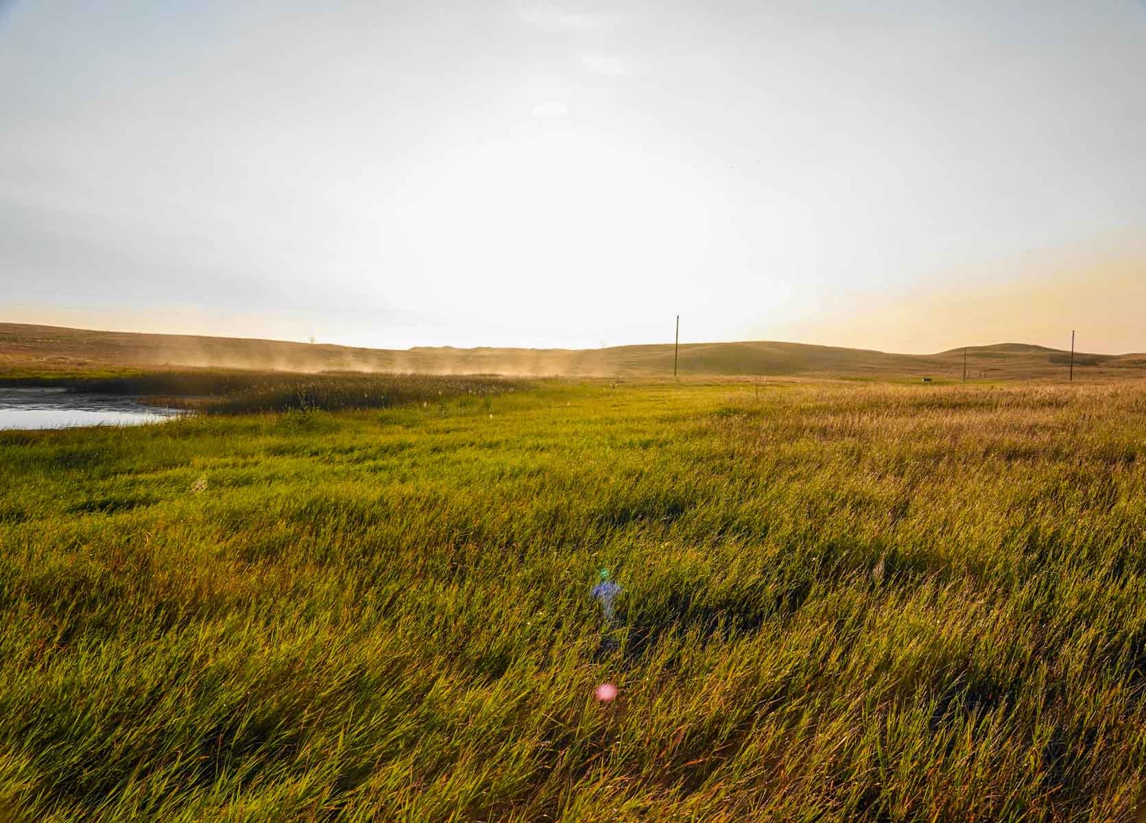 Sand Creek Bird Sanctuary Sold Montana Hall and Hall