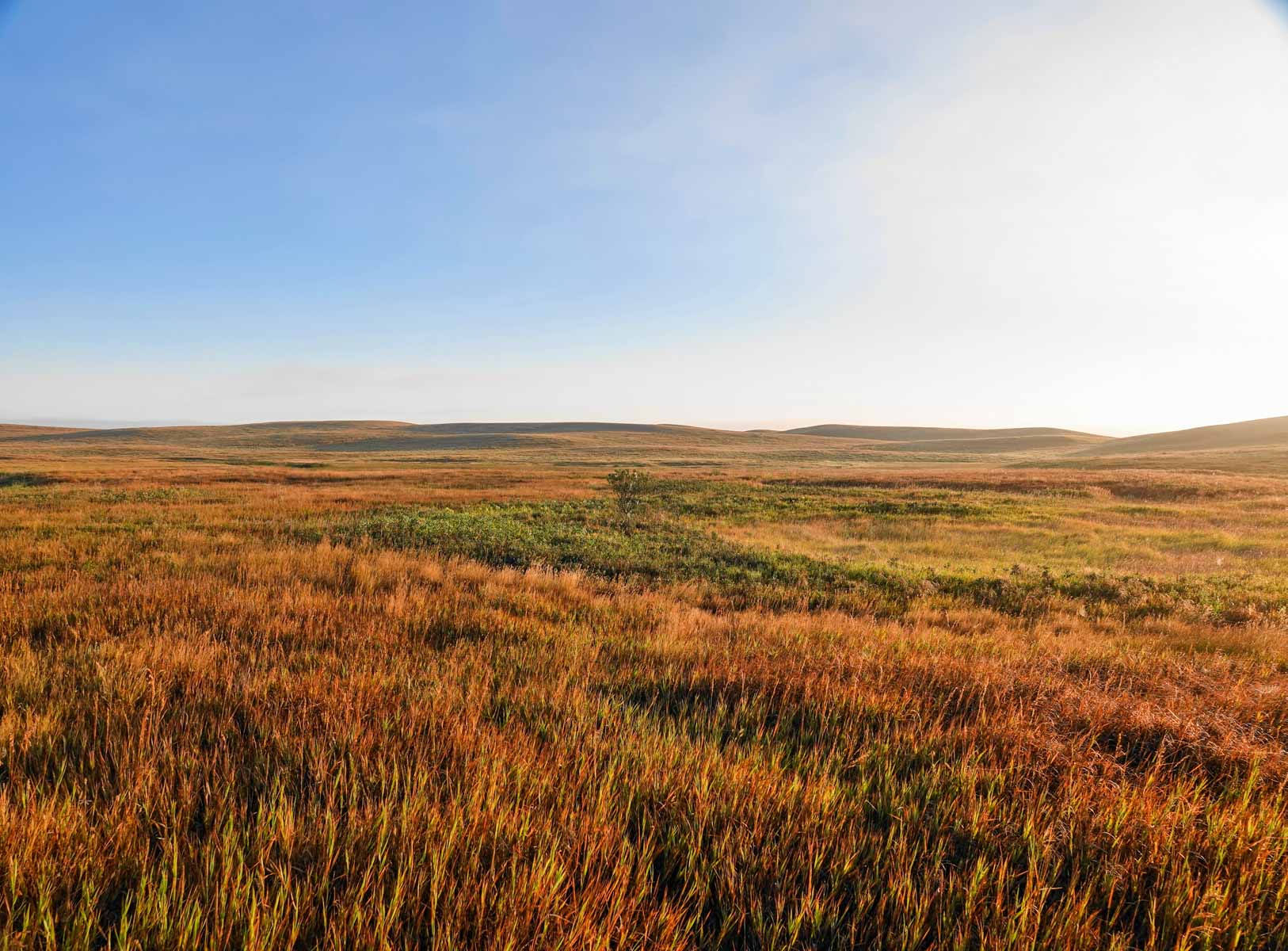 Sand Creek Bird Sanctuary property picture 46 of 59
