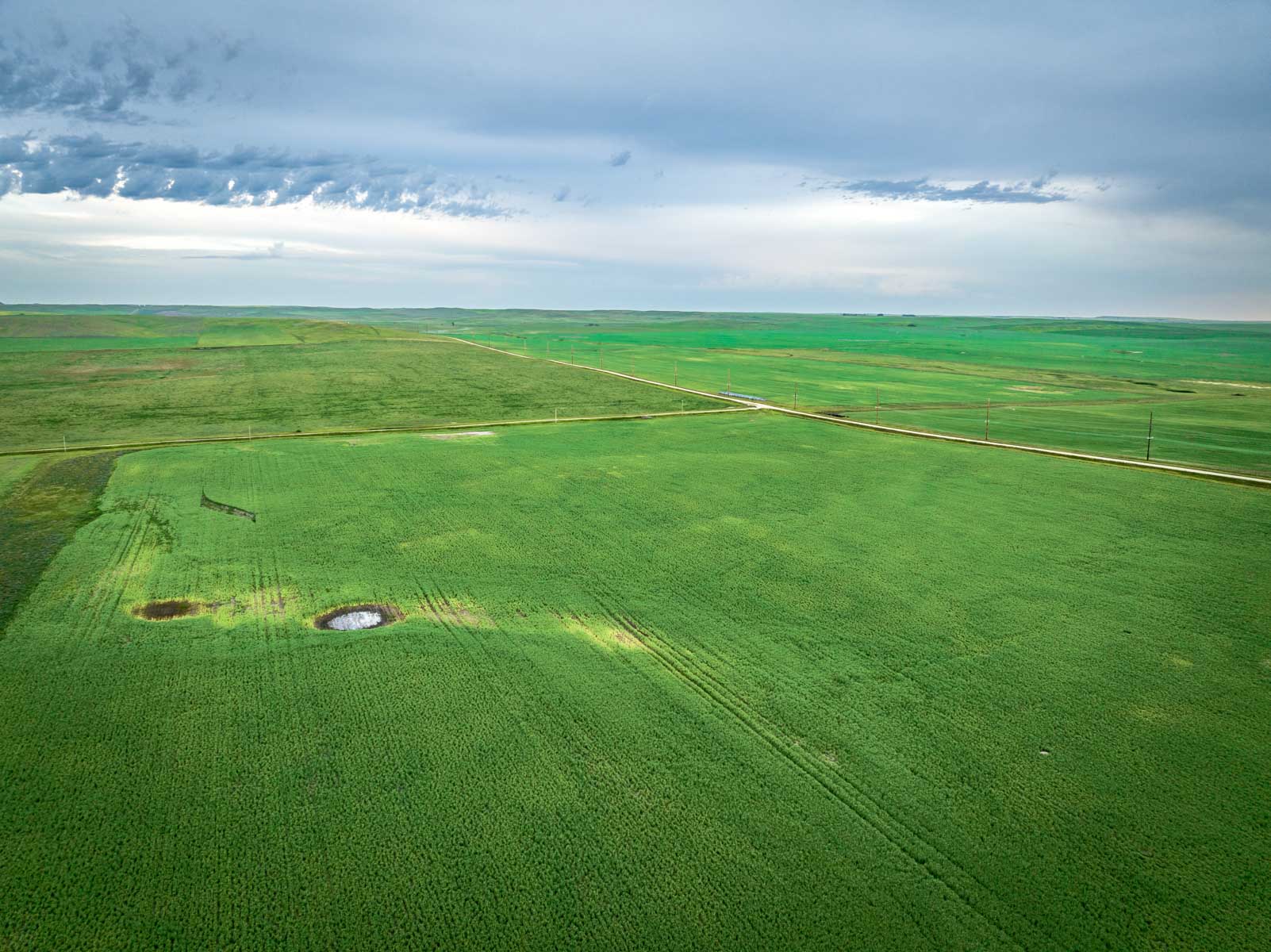 Sand Creek Bird Sanctuary property picture 26 of 59