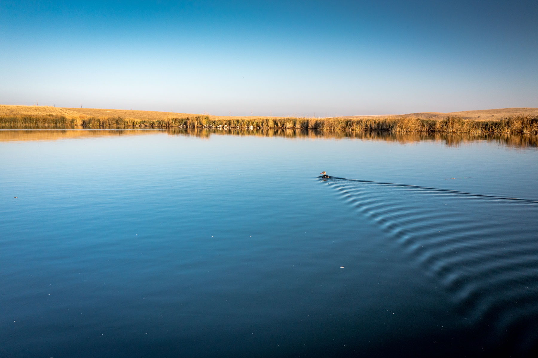 Sand Creek Bird Sanctuary property picture 53 of 59