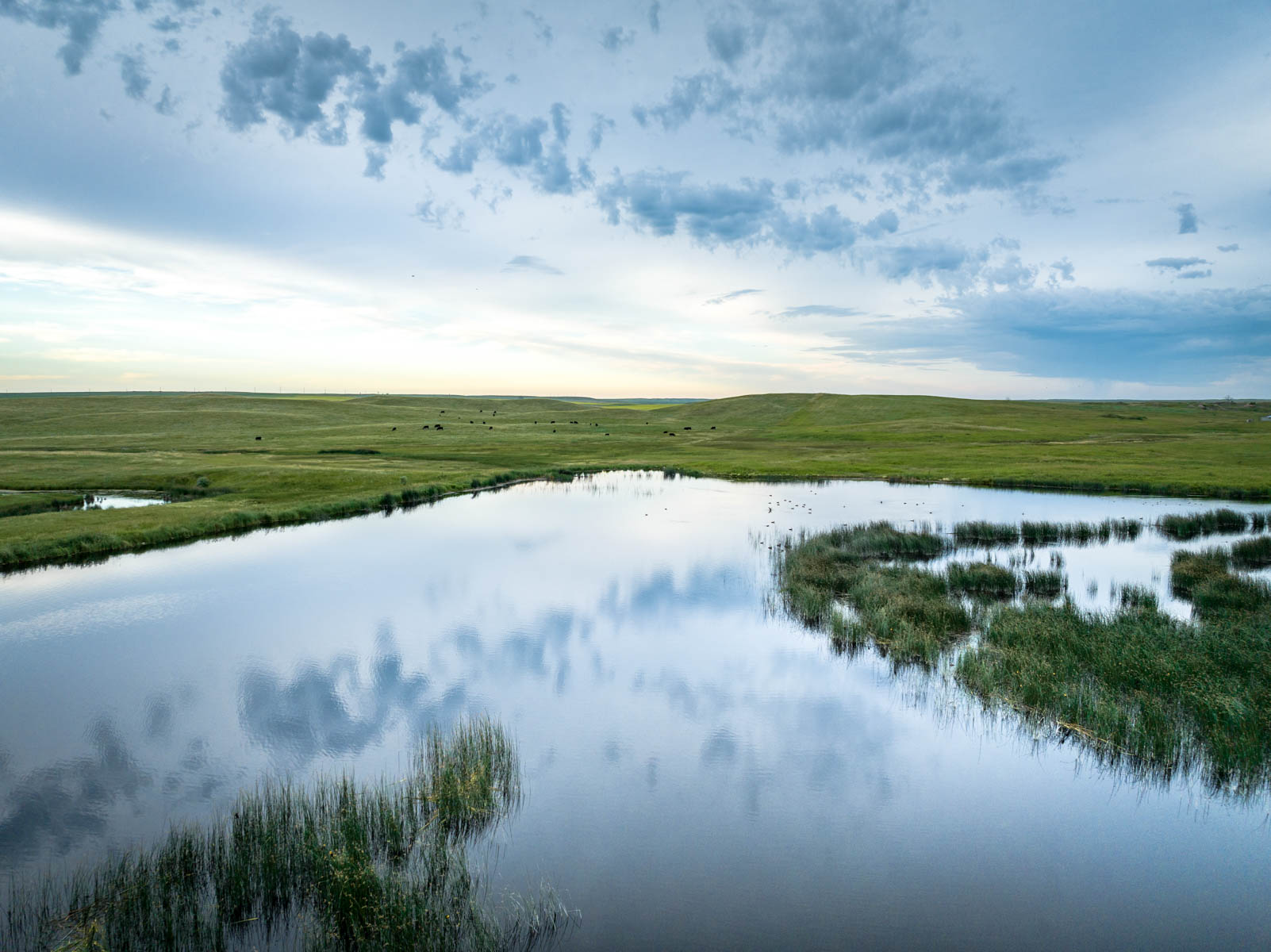 Sand Creek Bird Sanctuary Sold Montana Hall and Hall