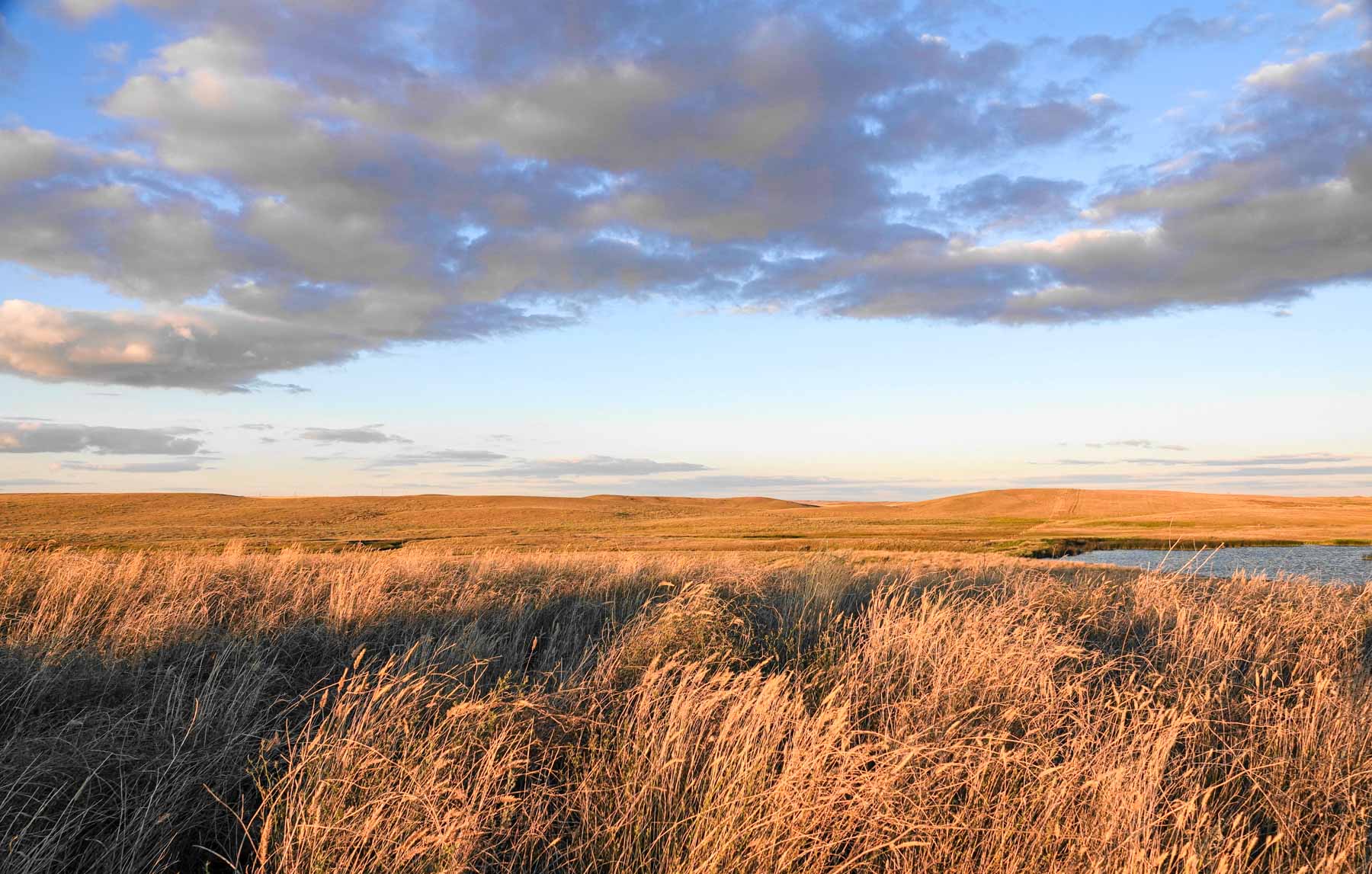 Sand Creek Bird Sanctuary Sold Montana Hall and Hall