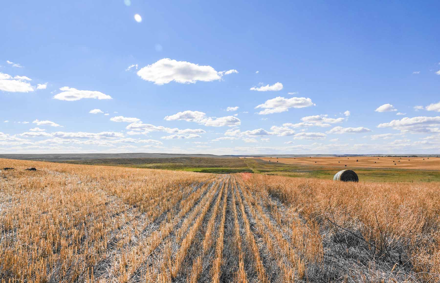 Sand Creek Bird Sanctuary property picture 40 of 59