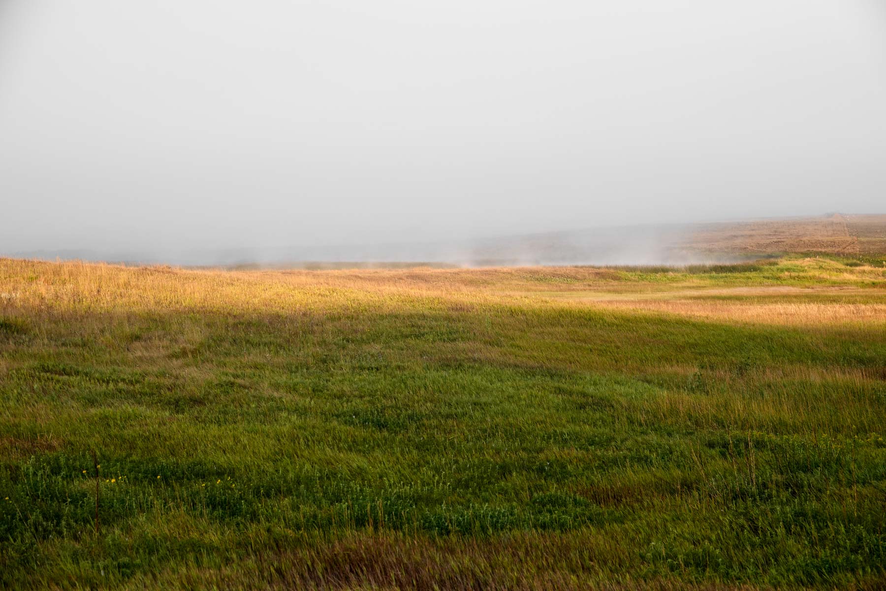 Sand Creek Bird Sanctuary property picture 43 of 59