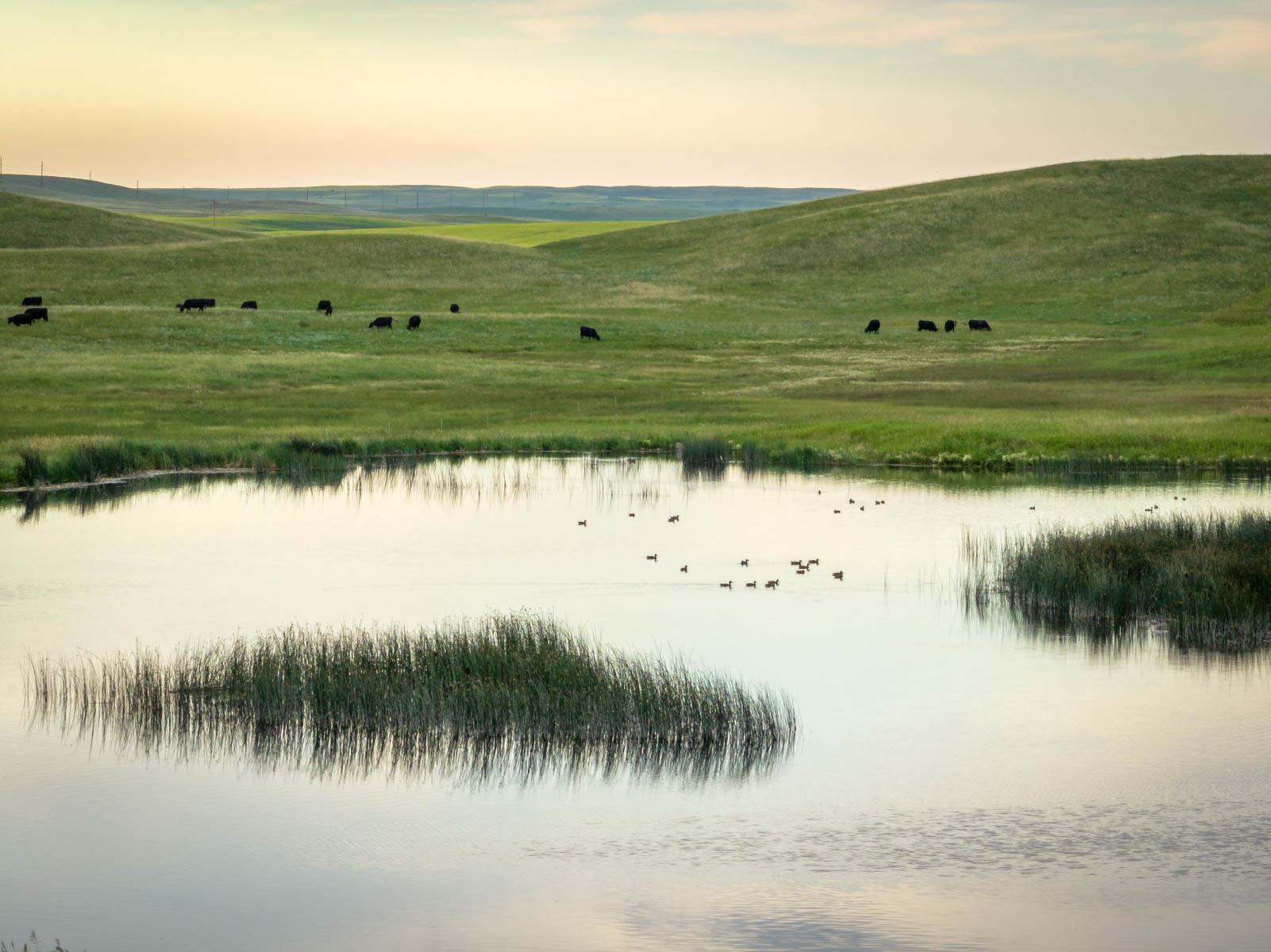 Sand Creek Bird Sanctuary Sold Montana Hall and Hall