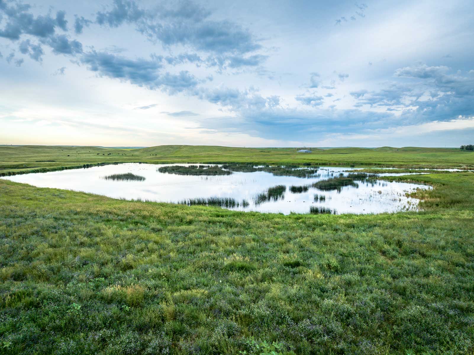 Sand Creek Bird Sanctuary Sold Montana Hall and Hall