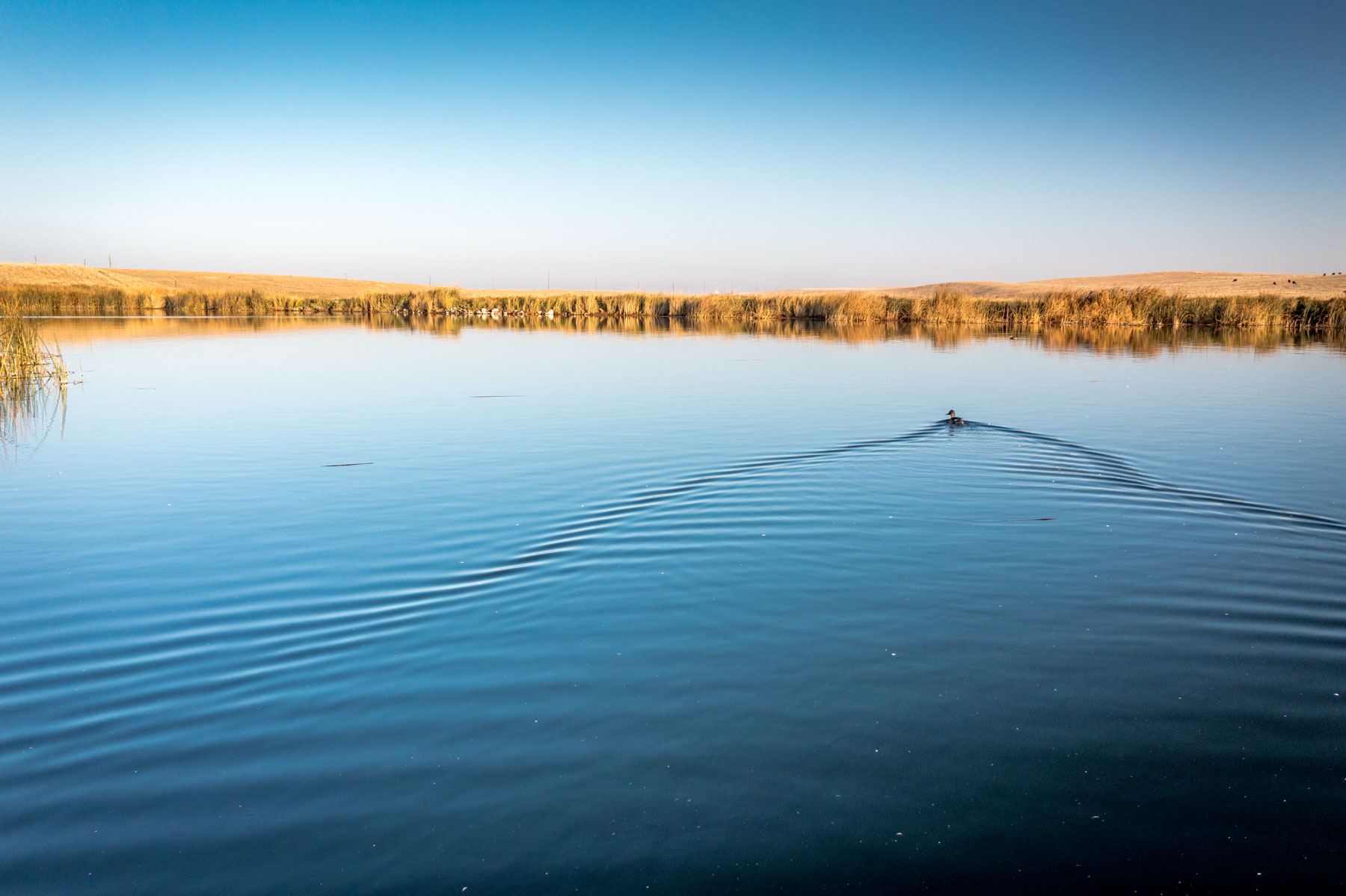 Sand Creek Bird Sanctuary property picture 16 of 59