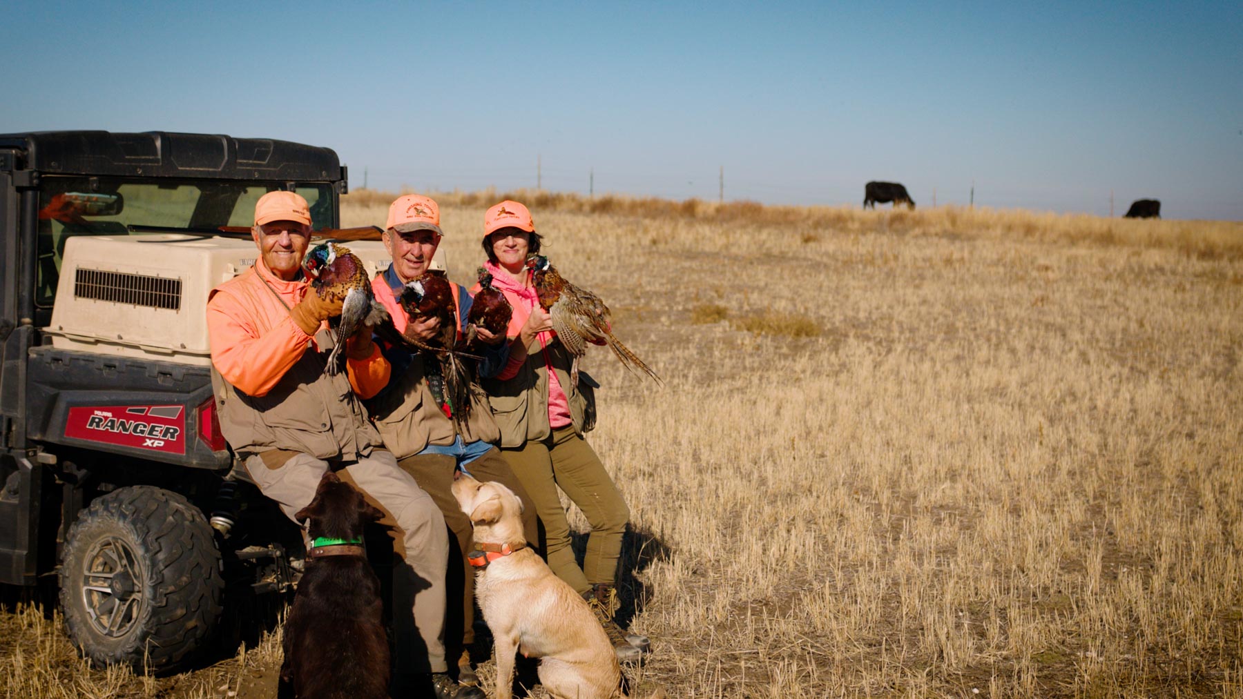 Sand Creek Bird Sanctuary property picture 3 of 59