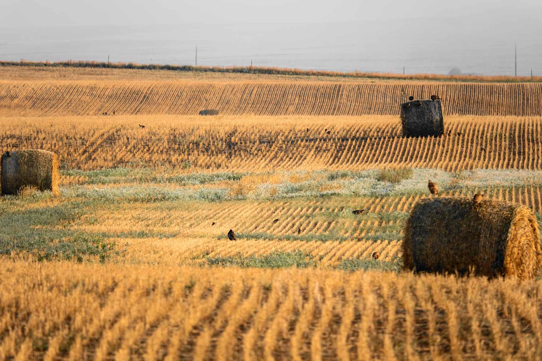 Sand Creek Bird Sanctuary property picture 15 of 59