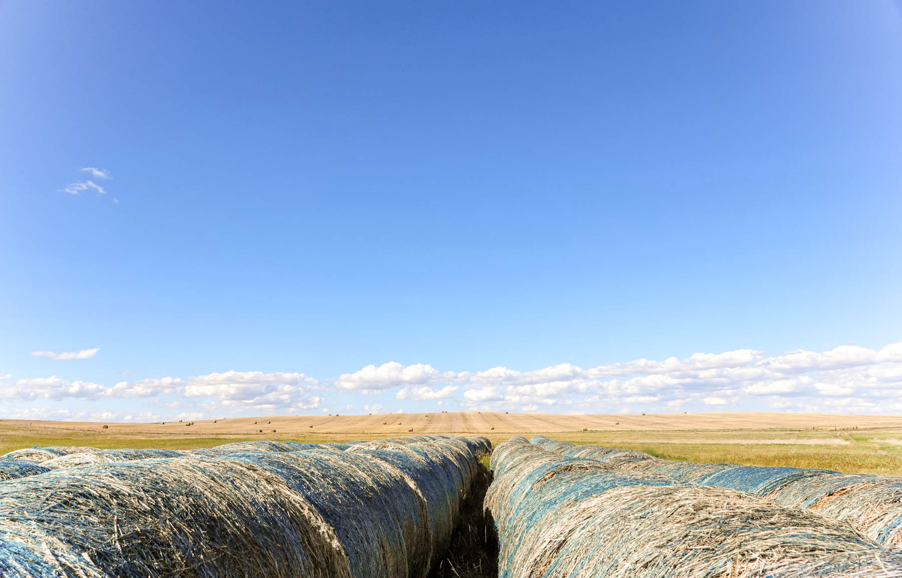 Sand Creek Bird Sanctuary property picture 9 of 59