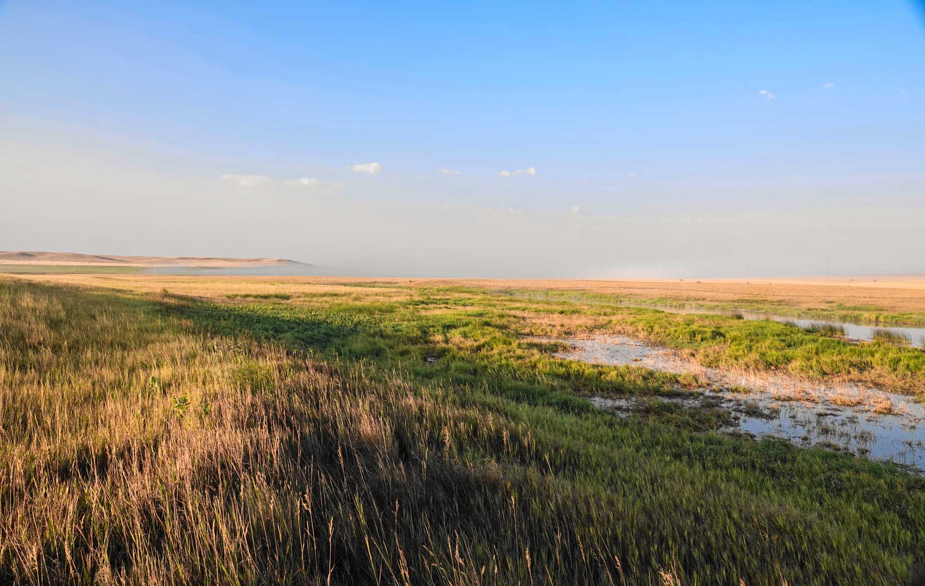 Sand Creek Bird Sanctuary Sold Montana Hall and Hall