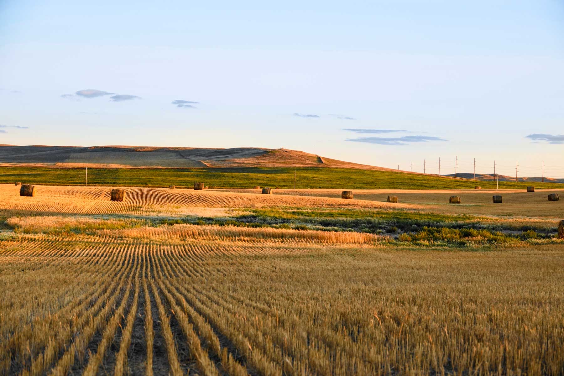 Sand Creek Bird Sanctuary property picture 18 of 59