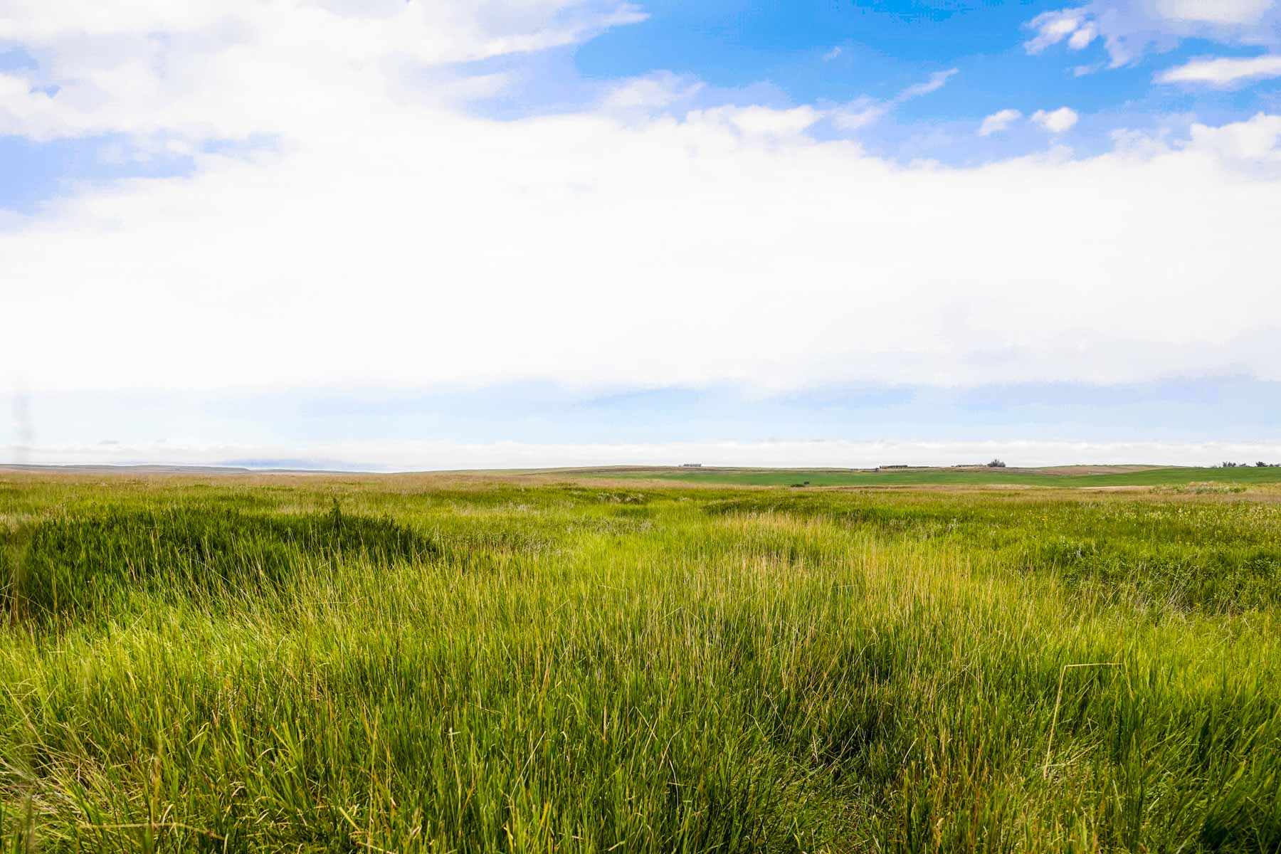 Sand Creek Bird Sanctuary Sold Montana Hall and Hall