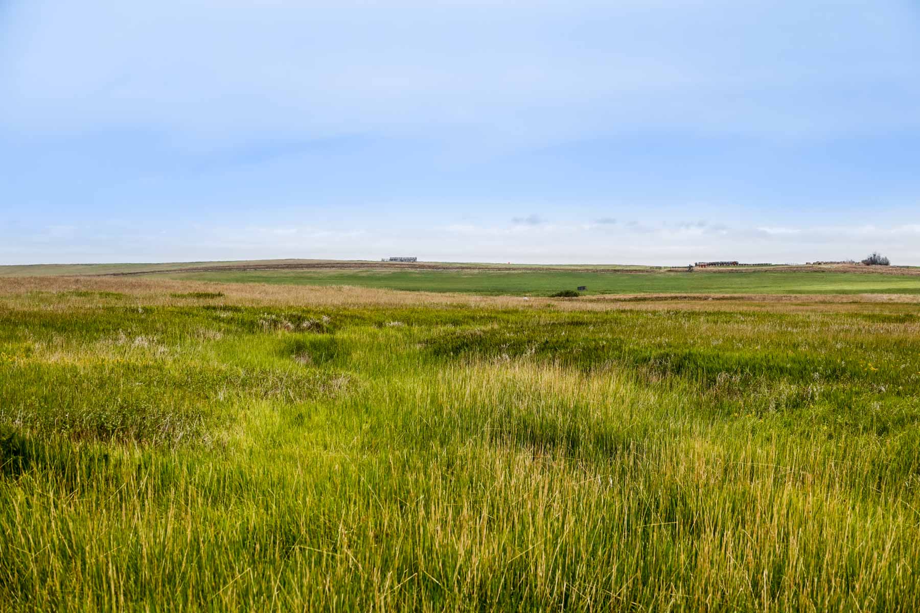 Sand Creek Bird Sanctuary Sold Montana Hall and Hall