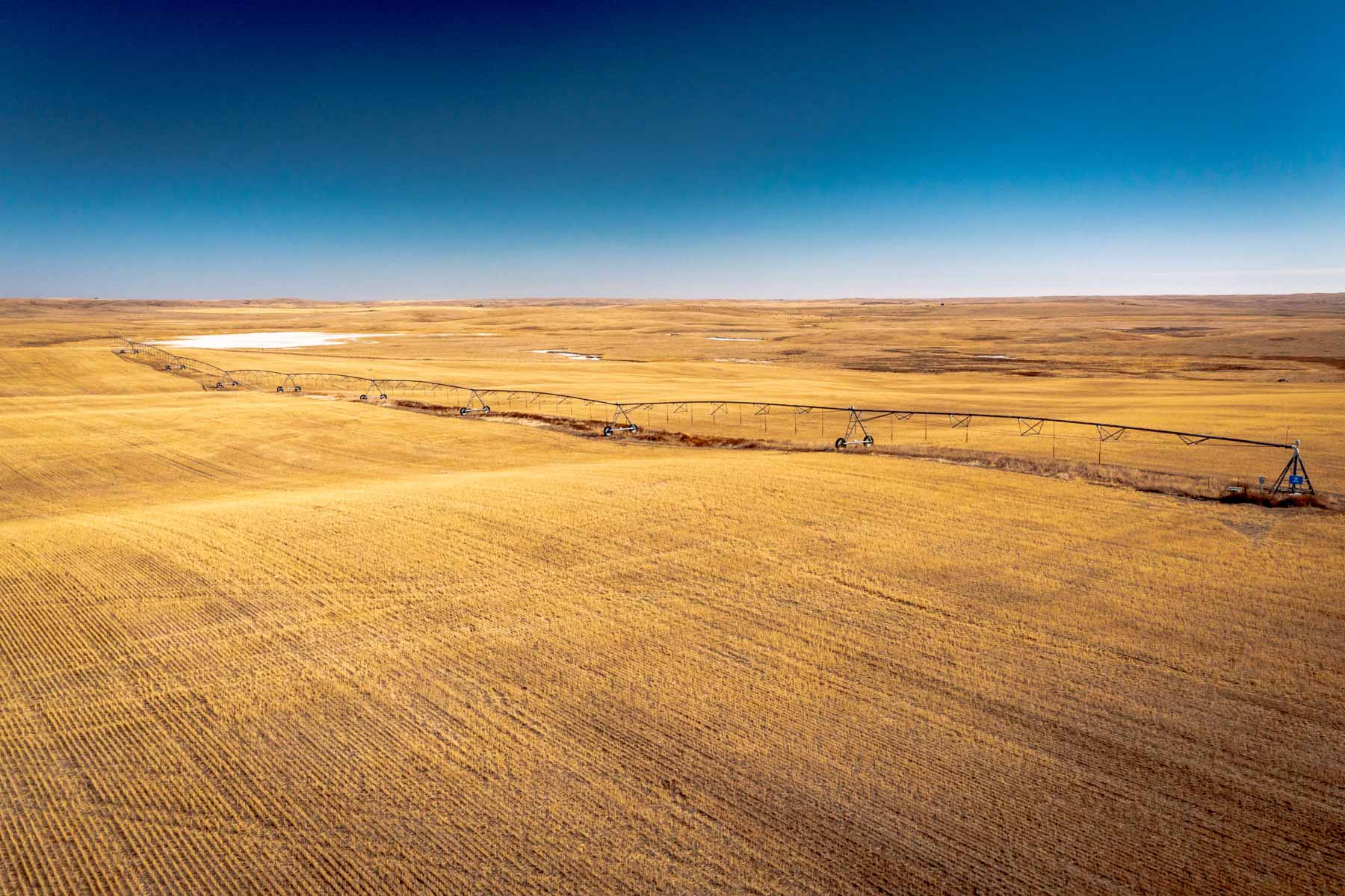 Sand Creek Bird Sanctuary Sold Montana Hall and Hall