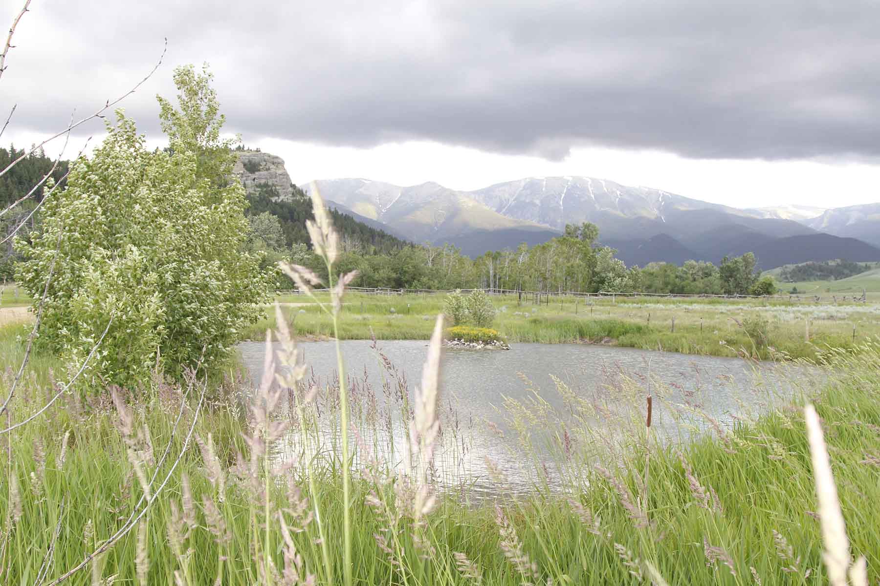 Red Lodge Creek Estates property picture 70 of 74