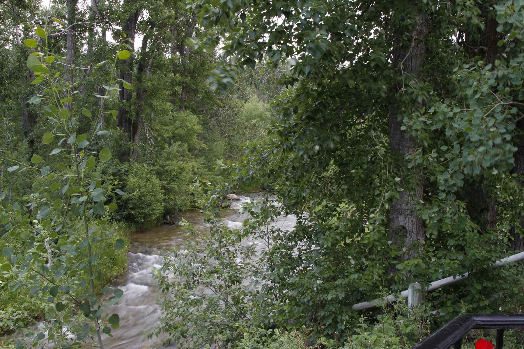 Red Lodge Creek Estates property picture 12 of 74