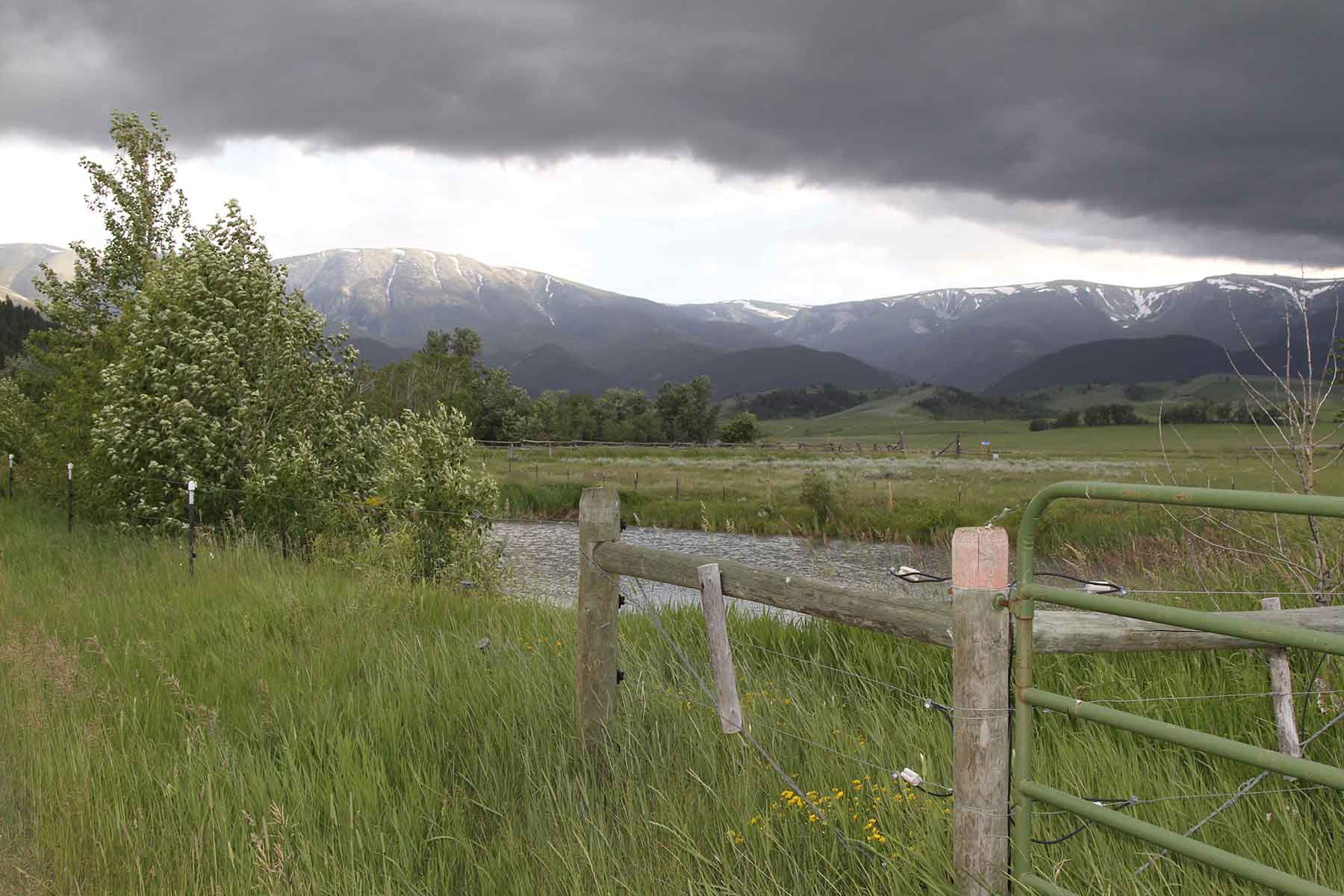 Red Lodge Creek Estates property picture 64 of 74