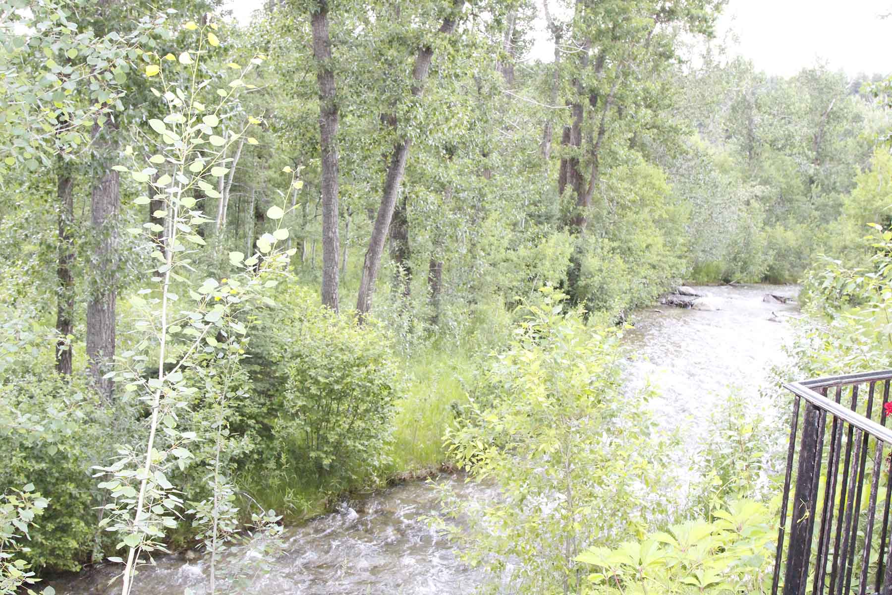 Red Lodge Creek Estates property picture 63 of 74