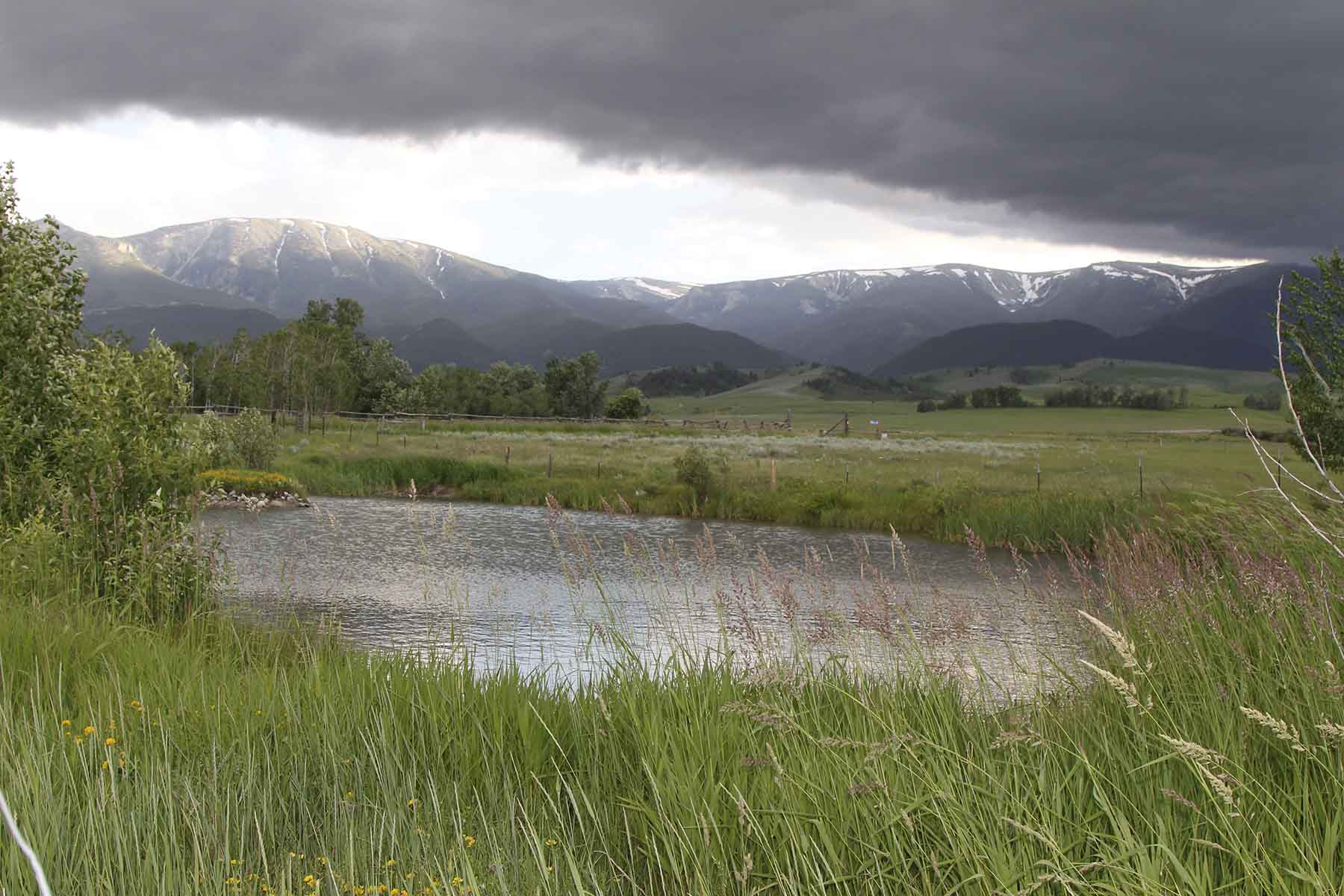 Red Lodge Creek Estates property picture 65 of 74