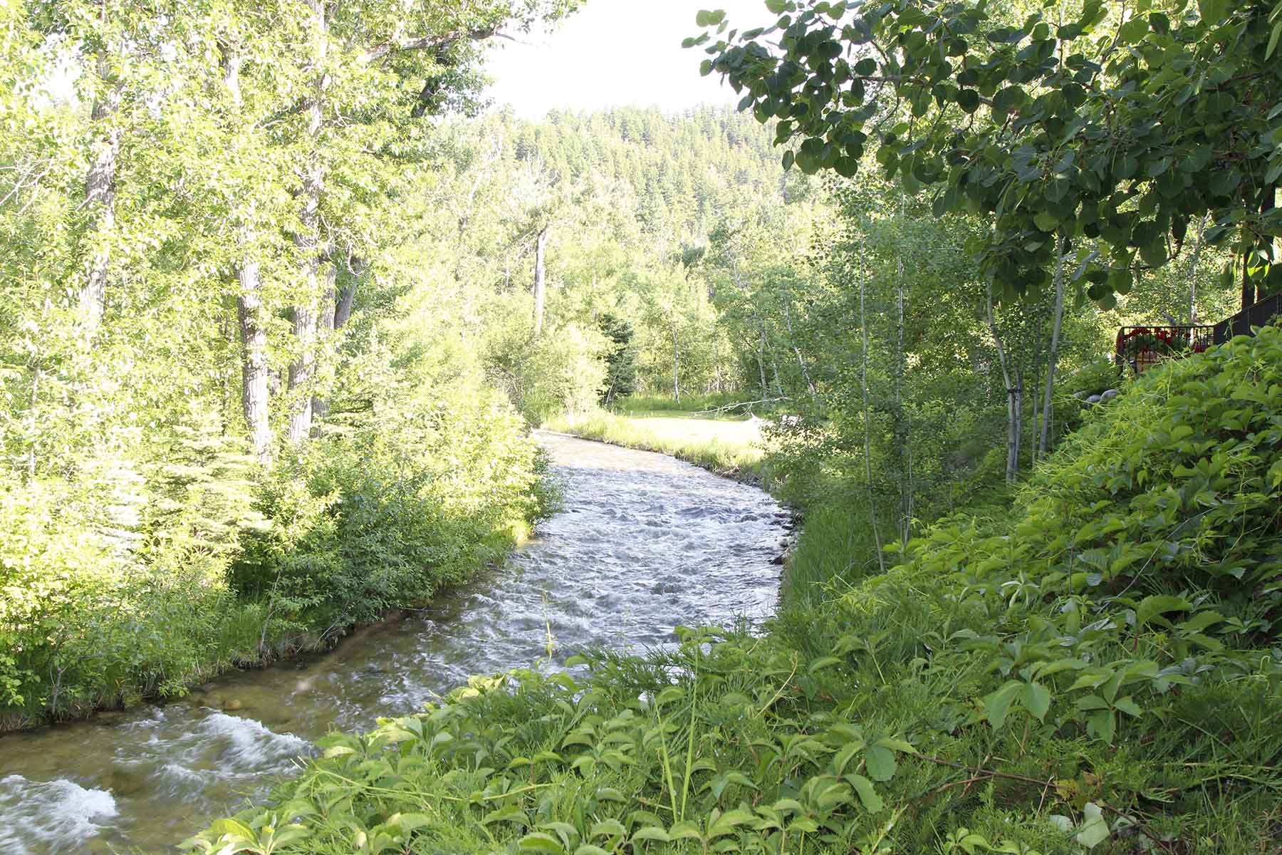 Red Lodge Creek Estates property picture 50 of 74