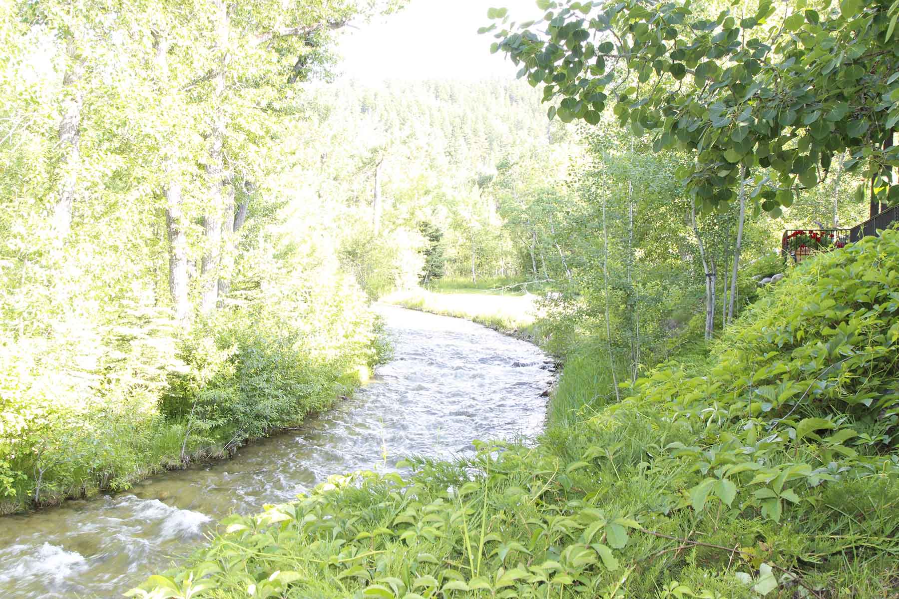 Red Lodge Creek Estates property picture 51 of 74