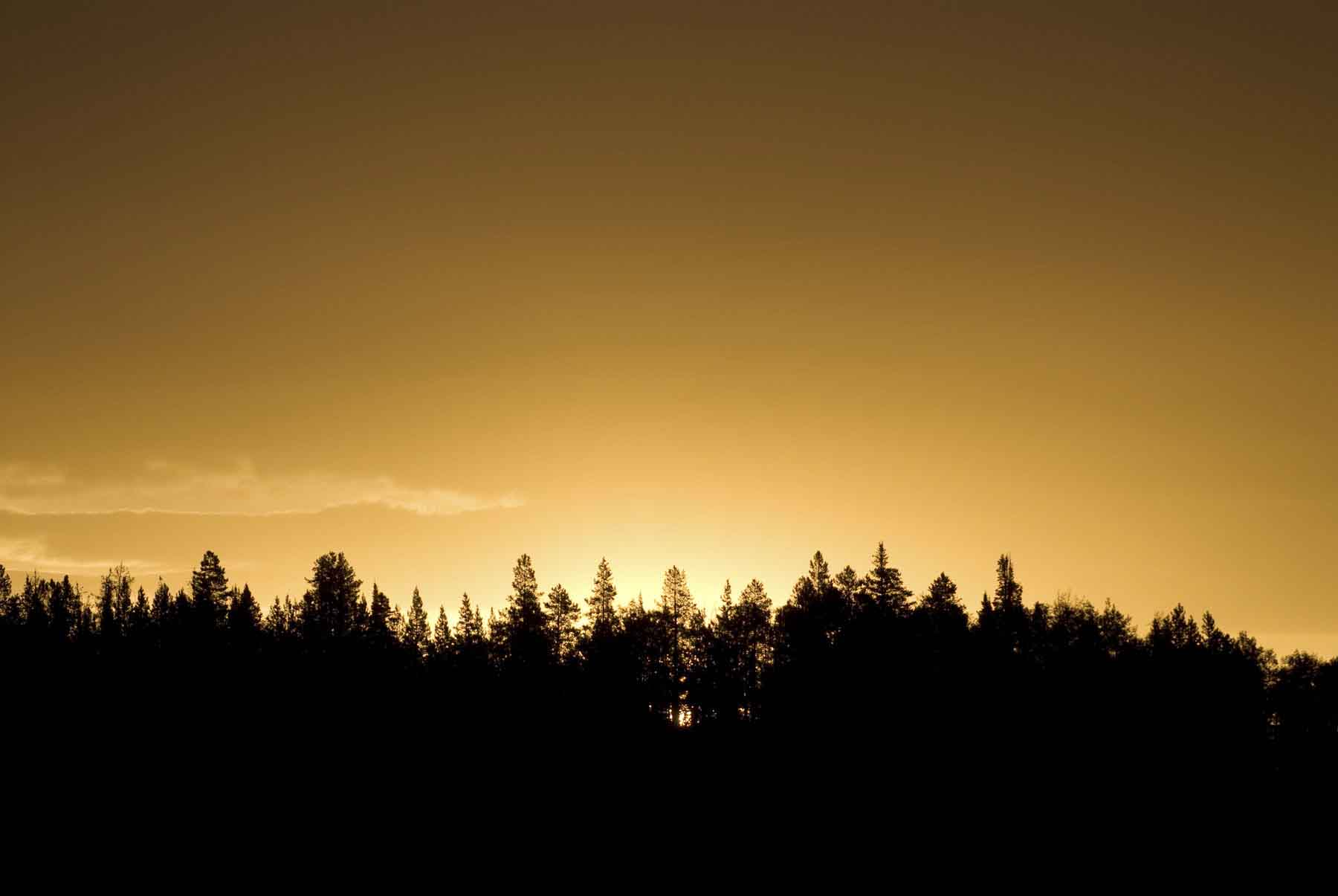 Rendezvous Ranch property picture 13 of 29