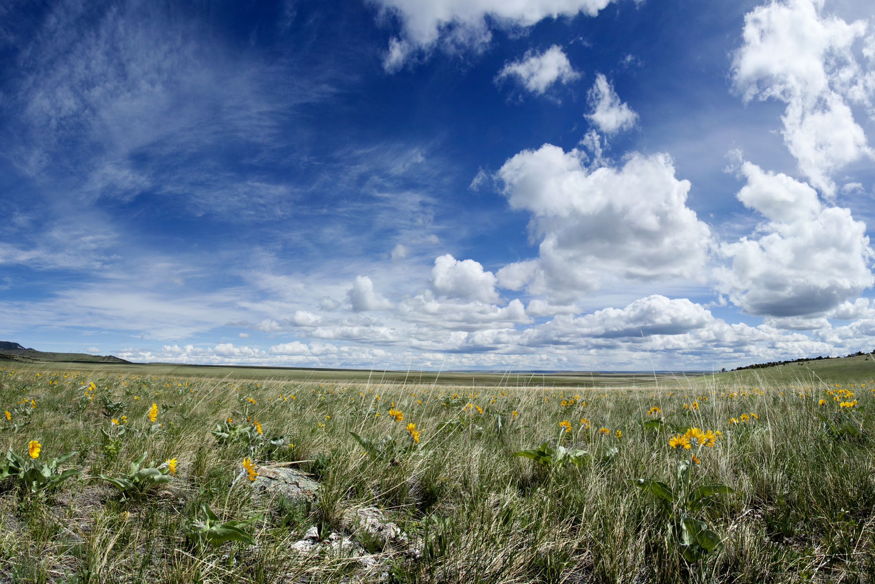 Choteau Mountain Ranch property picture 5 of 7