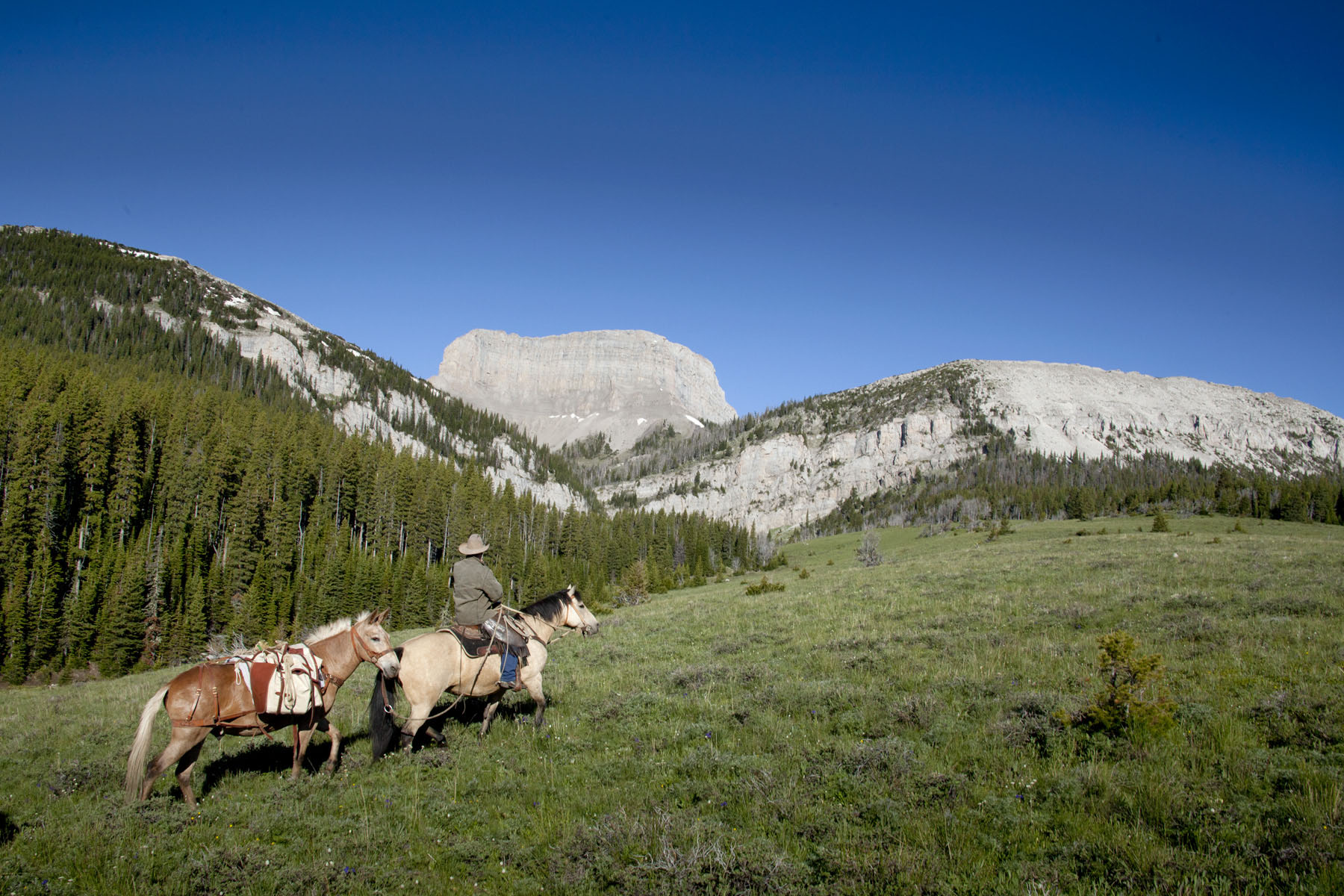 Choteau Mountain Ranch property picture 2 of 7